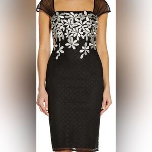 Adrianna Papell Elegant Black Special Occasion Dress with embroidered flowers